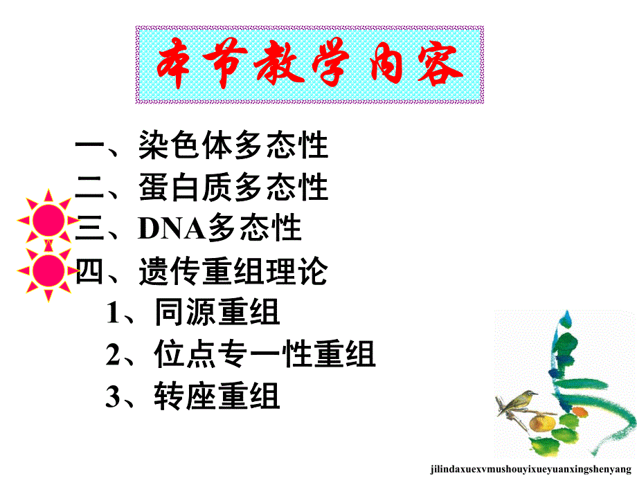 动物遗传学 遗传信息的改变-蛋白质和DNA多态性_第4页