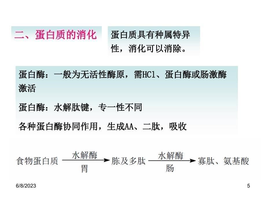 蛋白质的降解和氨基酸的分解代谢_第5页