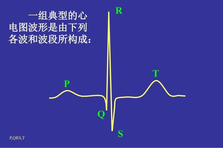 心电图产生原理课件_第5页