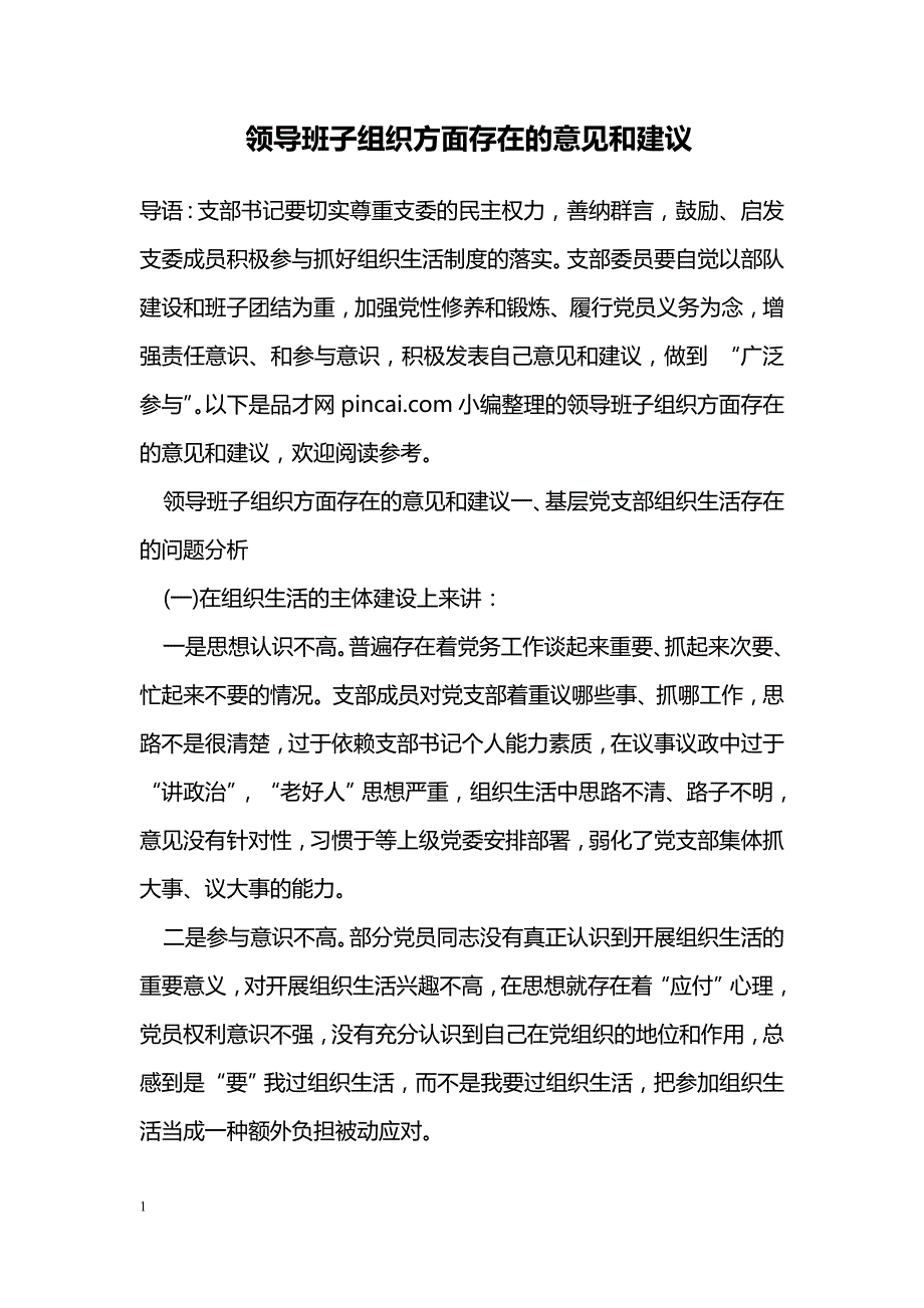 领导班子组织方面存在的意见和建议_第1页