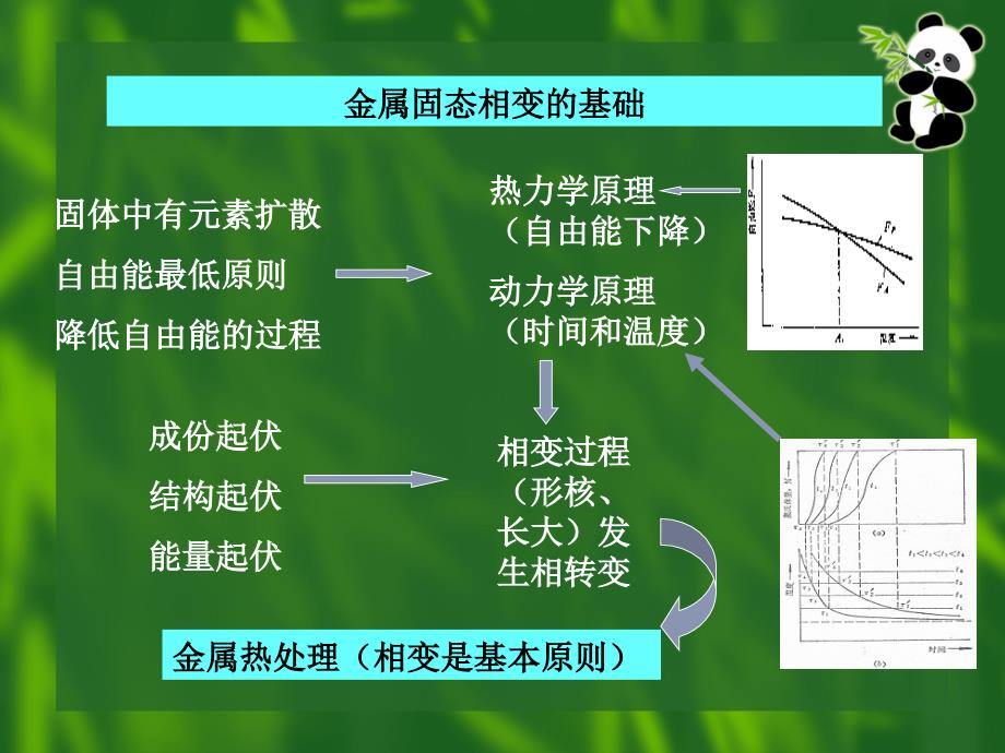 奥氏体的形成_第4页