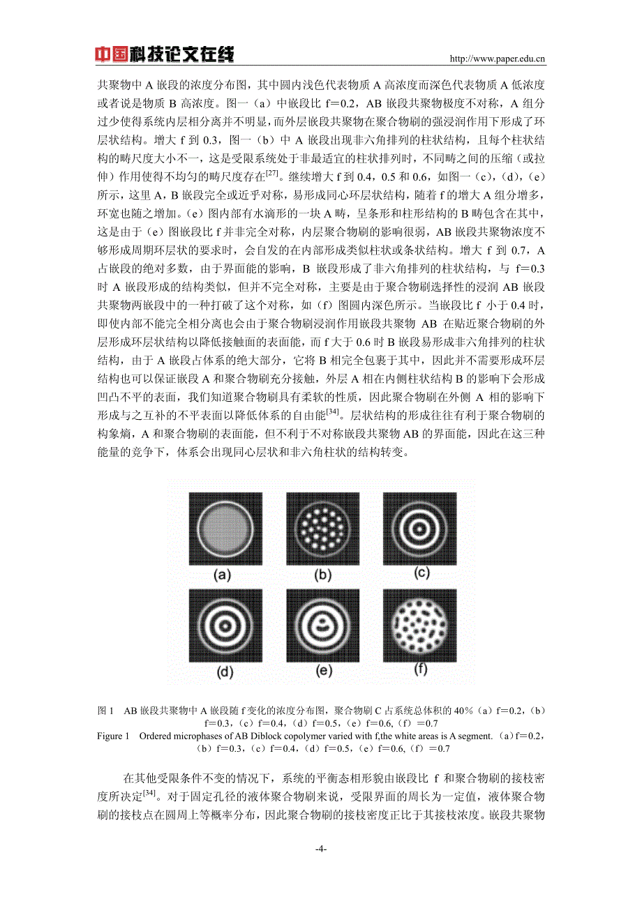 嵌段共聚物受限于软孔内的自组装_第4页