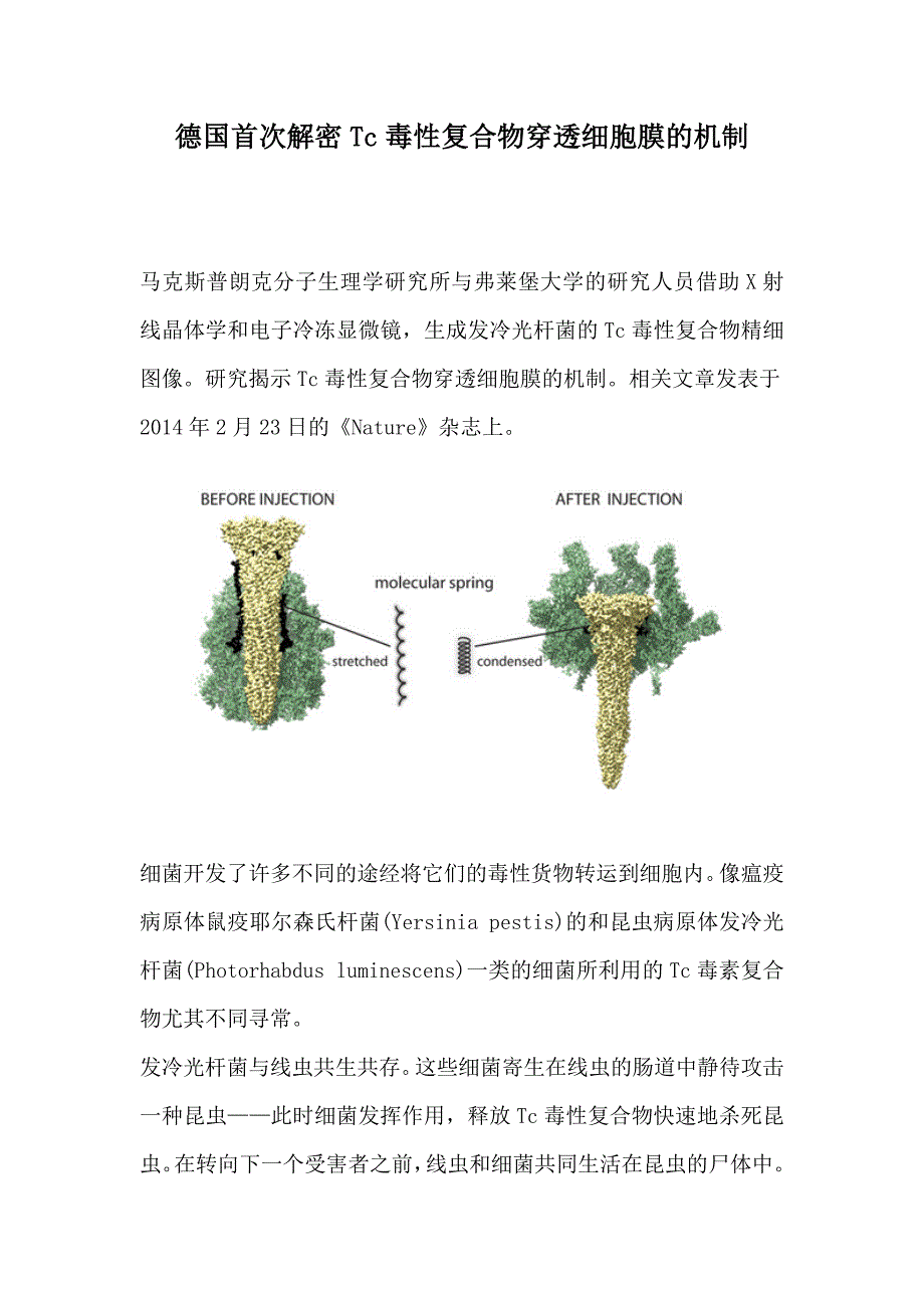 德国首次解密Tc毒性复合物穿透细胞膜的机制_第1页