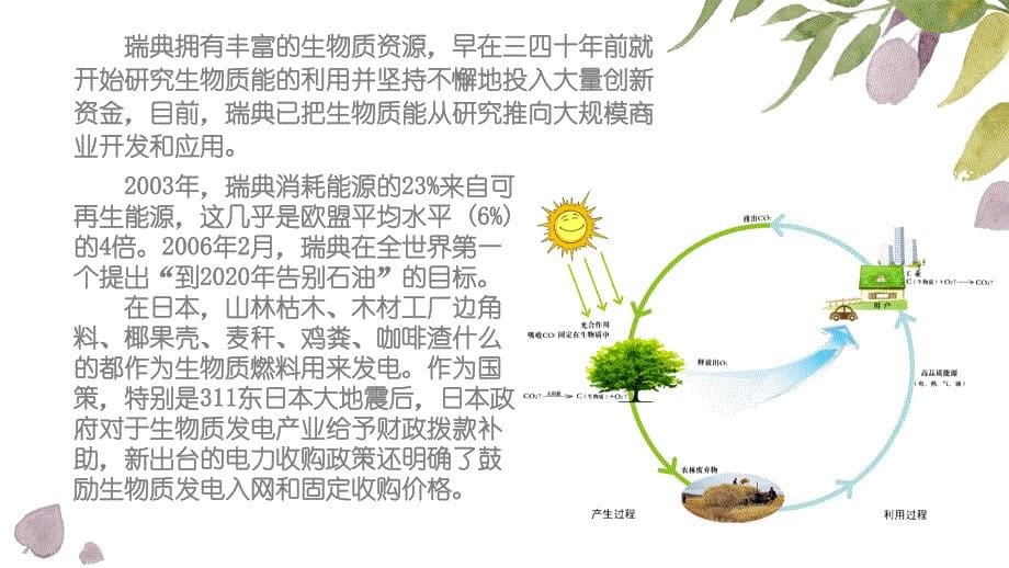 化学让生活更美好-生物质能源_第5页