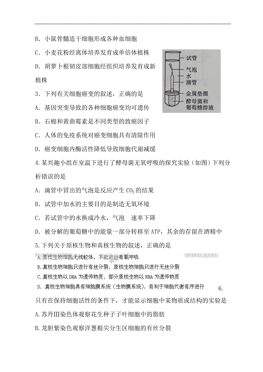 2011年高考山东理综试题及答案(精品)_第2页
