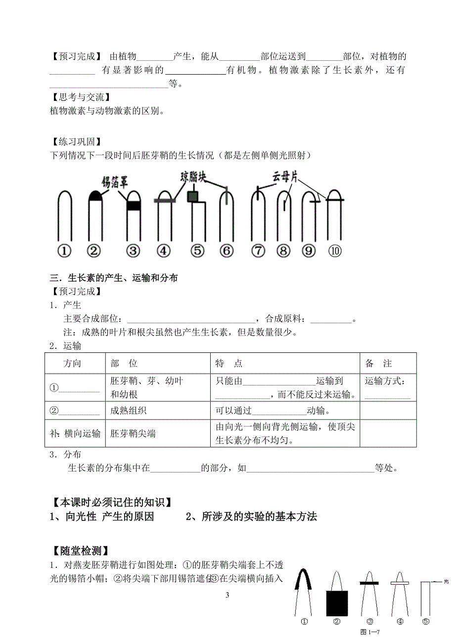 必修三第3章第1节植物的激素调节_第3页