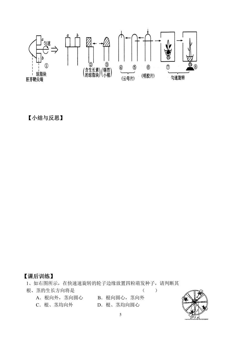 必修三第3章第1节植物的激素调节_第5页