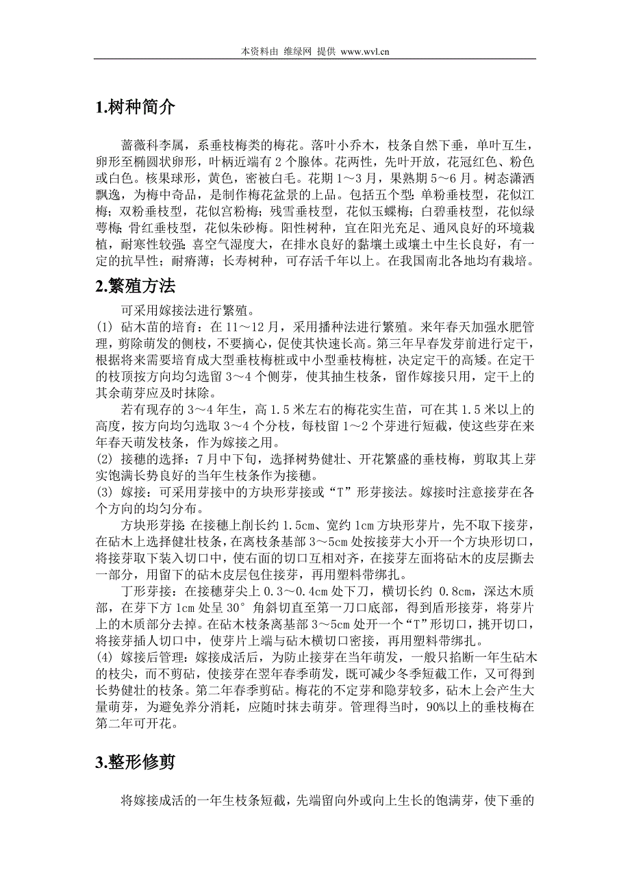 垂枝梅的培育_第1页