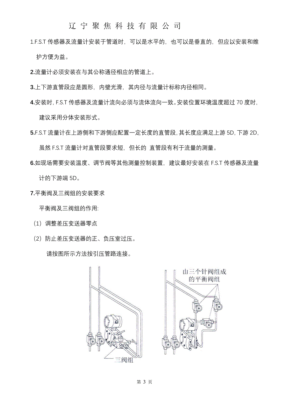 FST说明书(最终)B5_第4页