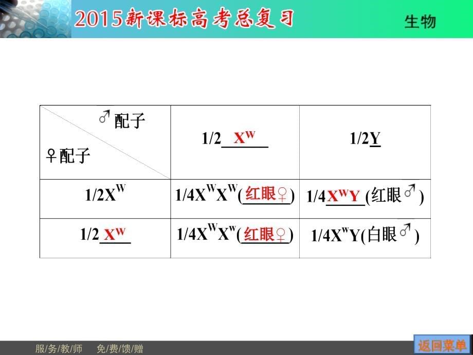 讲基因在染色体上和伴性遗传_第5页