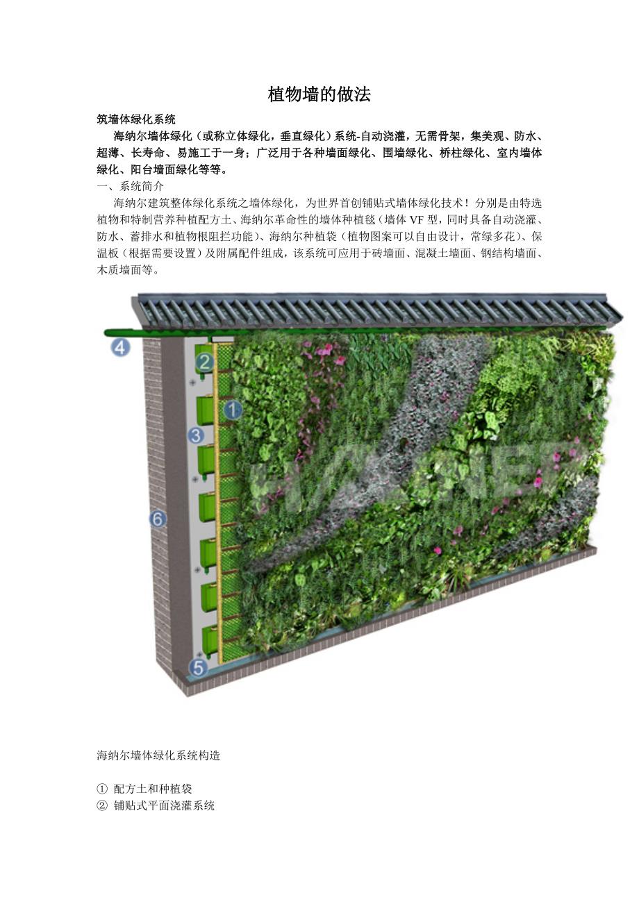 植物墙的做法_第1页