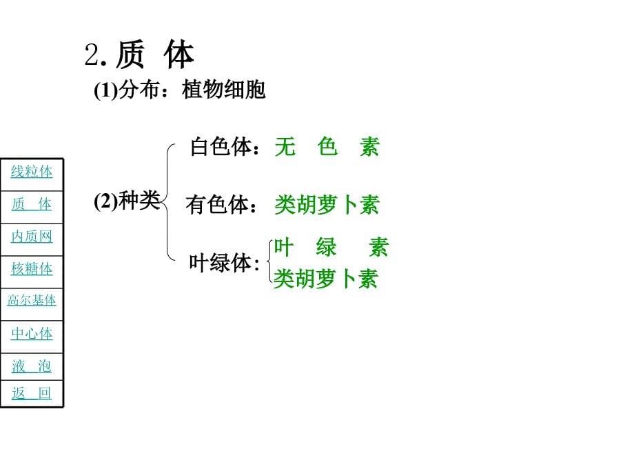 高二生物细胞质的结构和功能_第5页