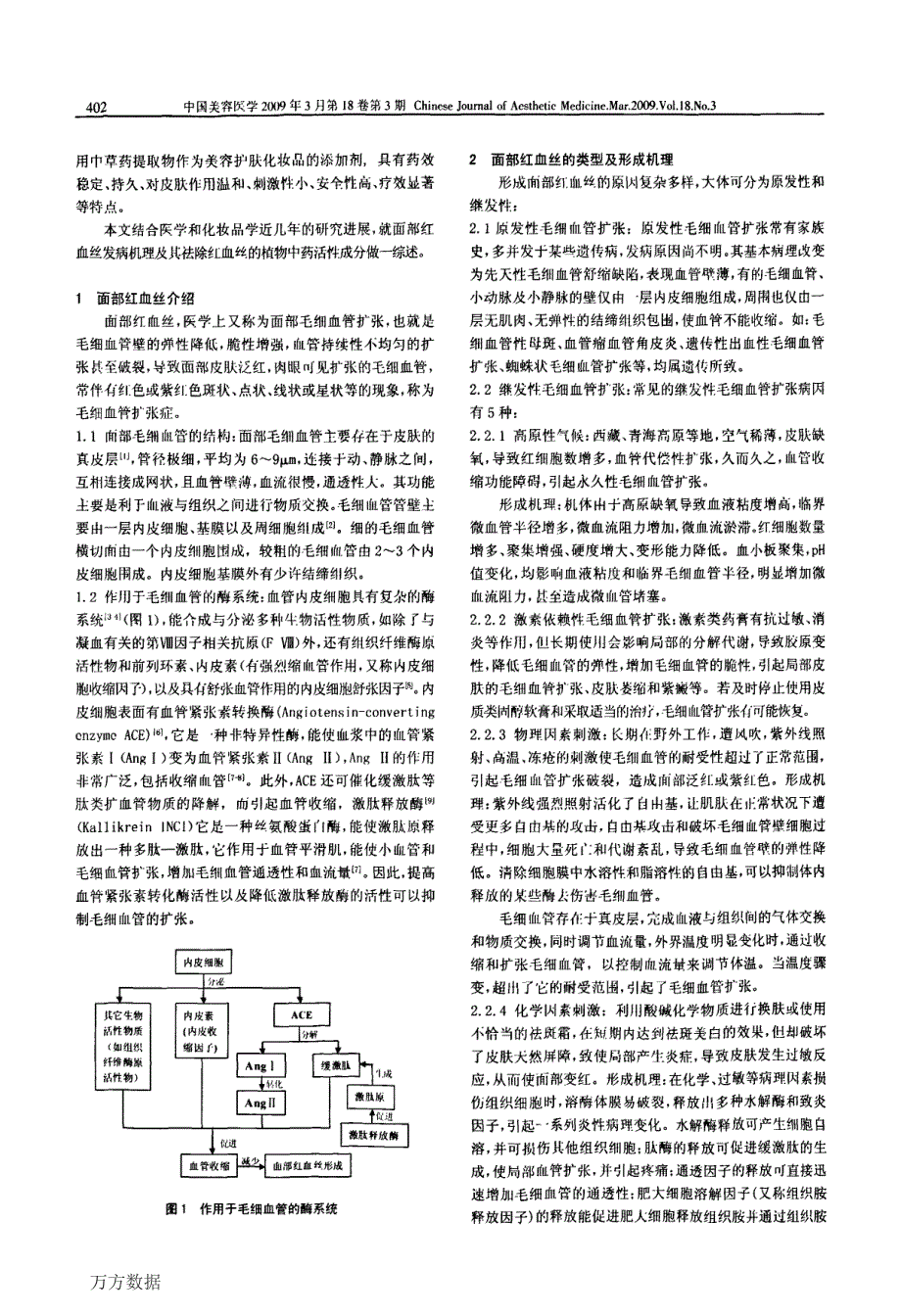 面部红血丝形成机理及防治研究进展_第2页