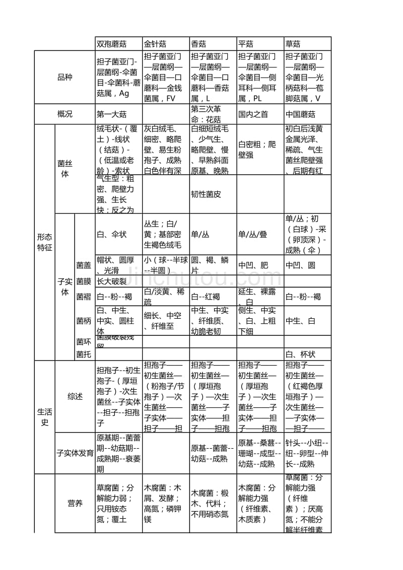 食用菌2.0_第1页