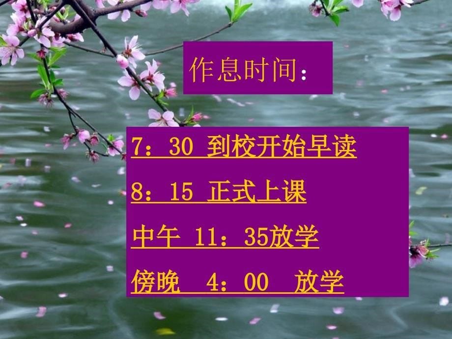 洼子小学一年级家长会_第5页