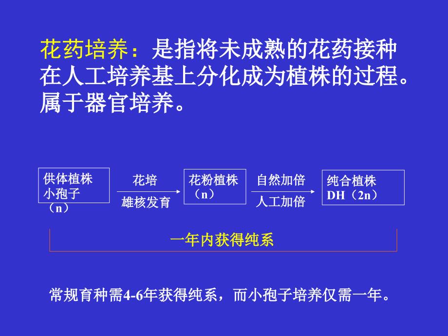 植物花药培养及单倍体植株鉴定-2015_第2页