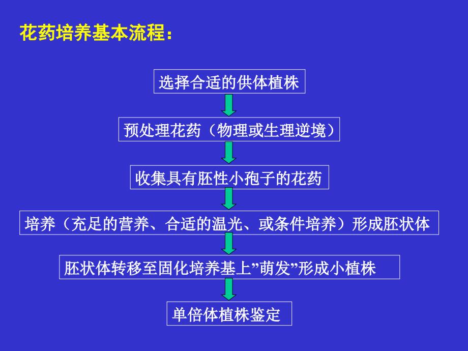 植物花药培养及单倍体植株鉴定-2015_第4页