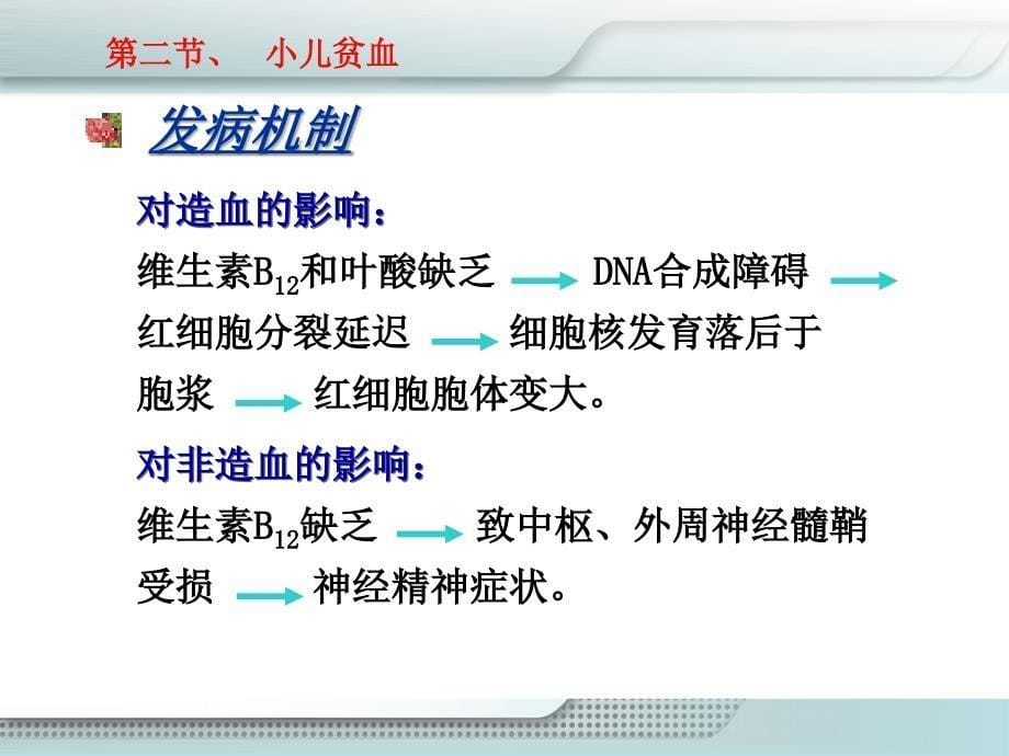 12 第十二章  血液系统疾病患儿的护理(二)_第5页