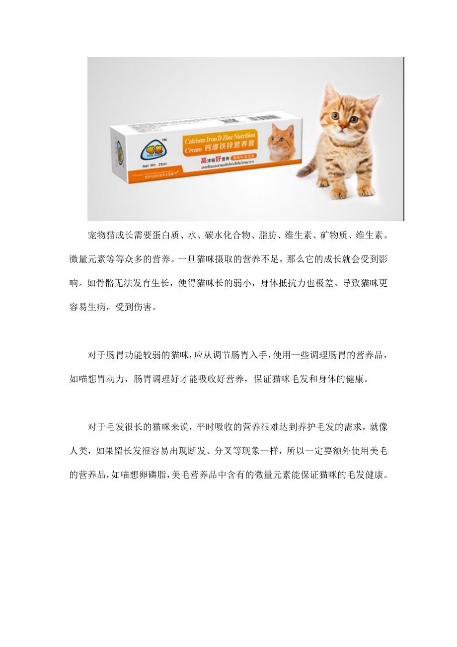 猫营养不良有什么症状,猫营养不良吃什么好_第3页