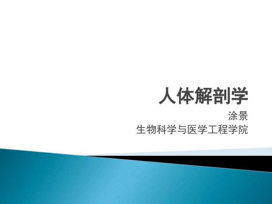 20 神经被膜_第1页