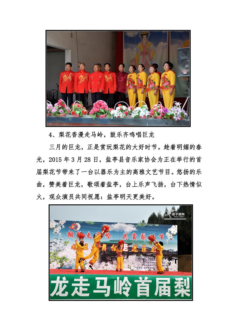 盐亭县音乐家协会2015年工作总结_第4页