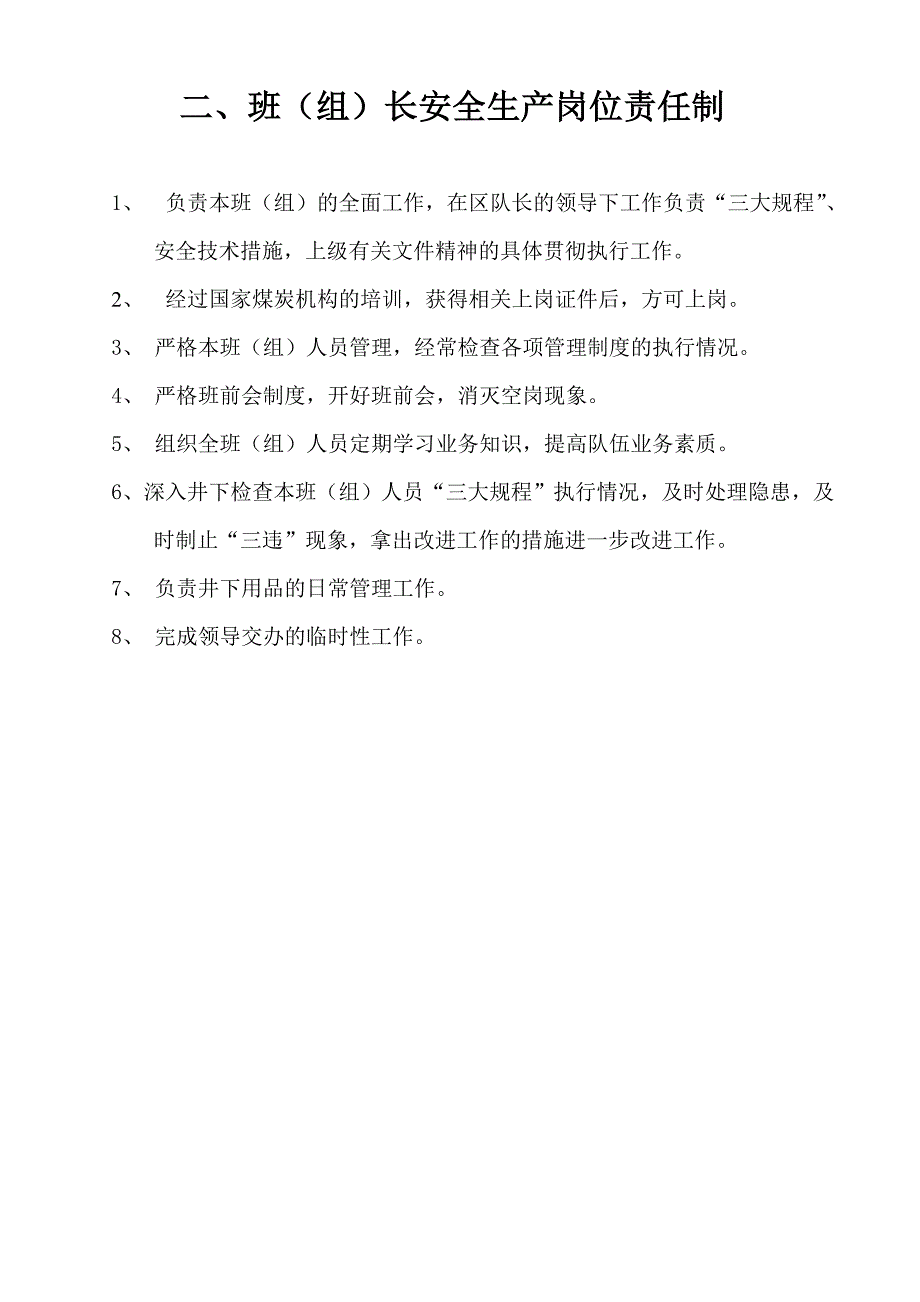 煤矿各岗位安全生产责任制_第2页