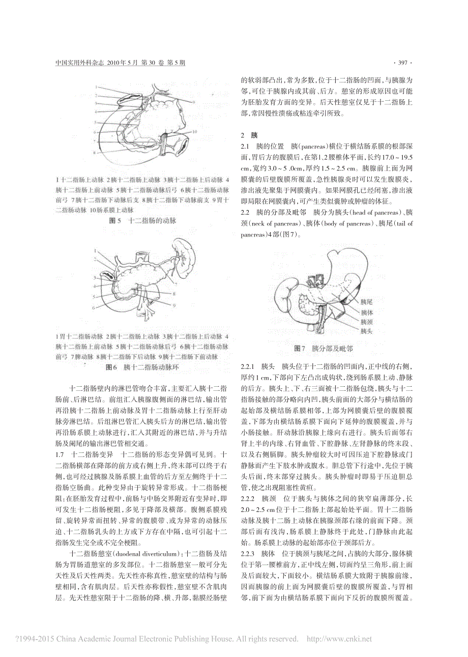 胆胰肠结合部的应用_第3页