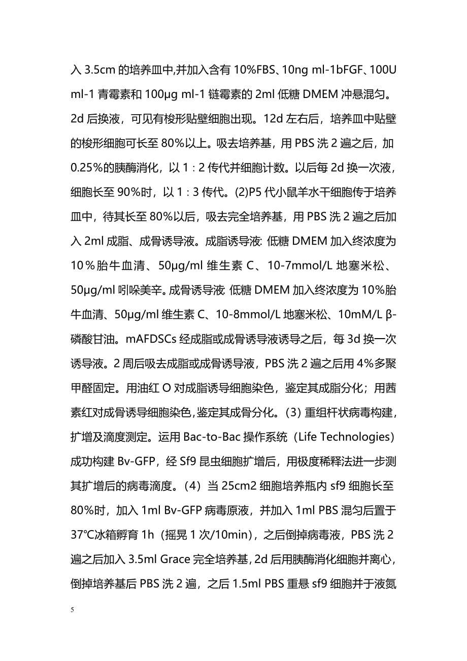 杆状病毒转导的小鼠羊水干细胞保持成骨分化潜能的实验研究_第5页