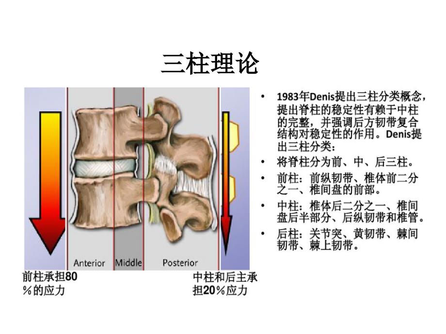 脊柱常见手术方式_第3页