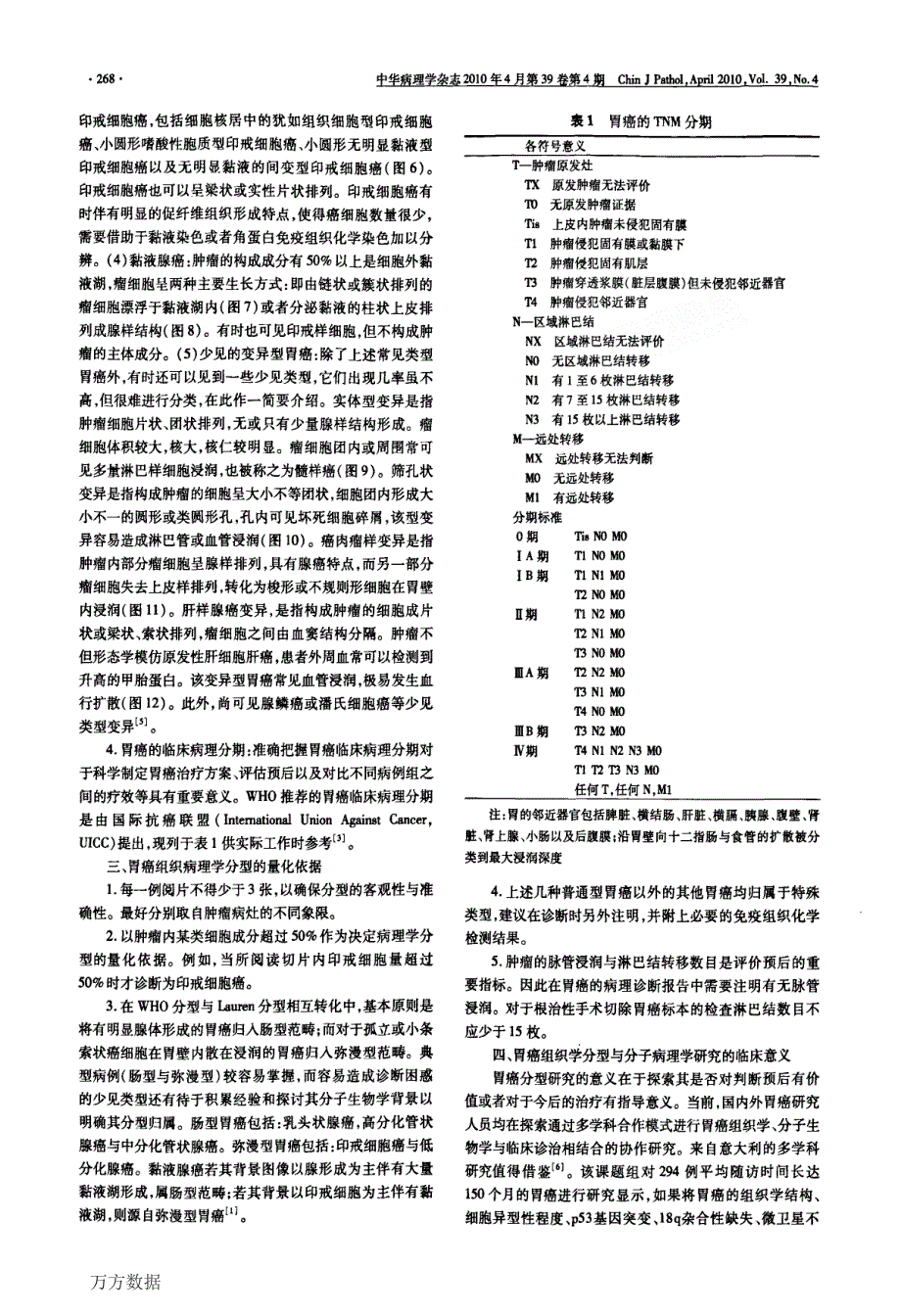 胃癌病理分型和诊断标准的建议_第3页