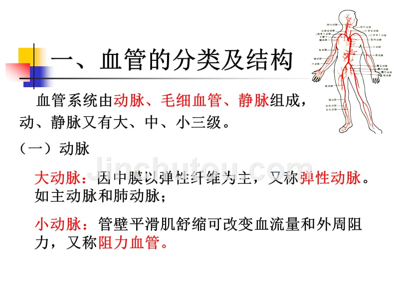 动脉1-新修改_第2页