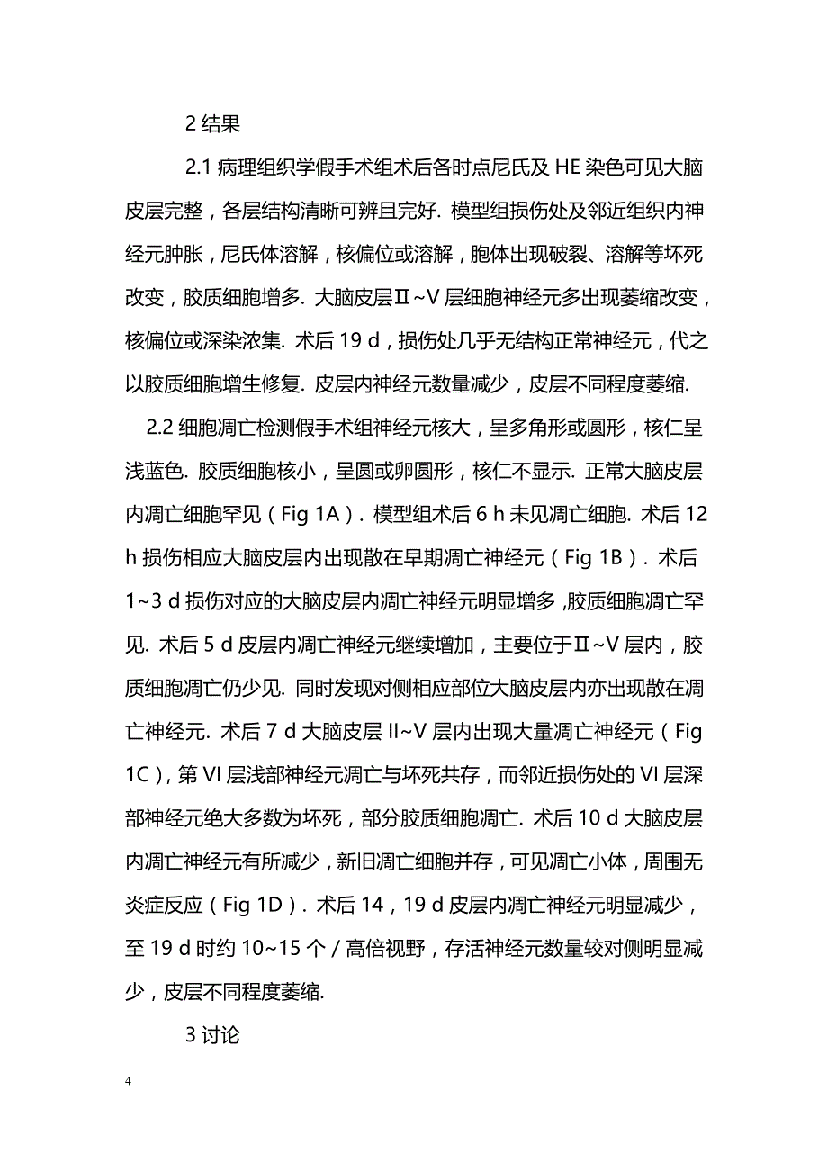 机械性鼠脑皮层下横切后皮层神经元凋亡_第4页