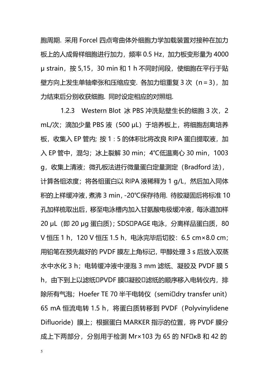 机械应力下成骨细胞外信号调节激酶ERK1-2的早期变化_第5页