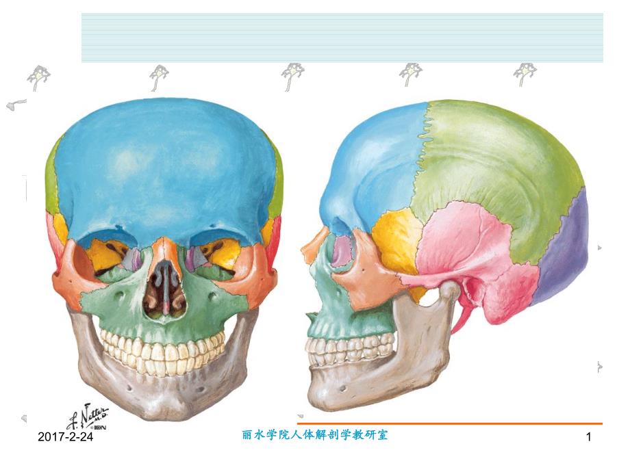 口腔解剖图片,口腔_第1页