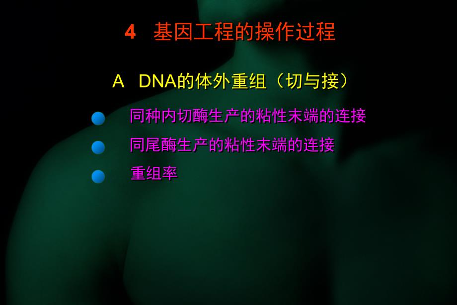 基因工程的操作过程_第3页