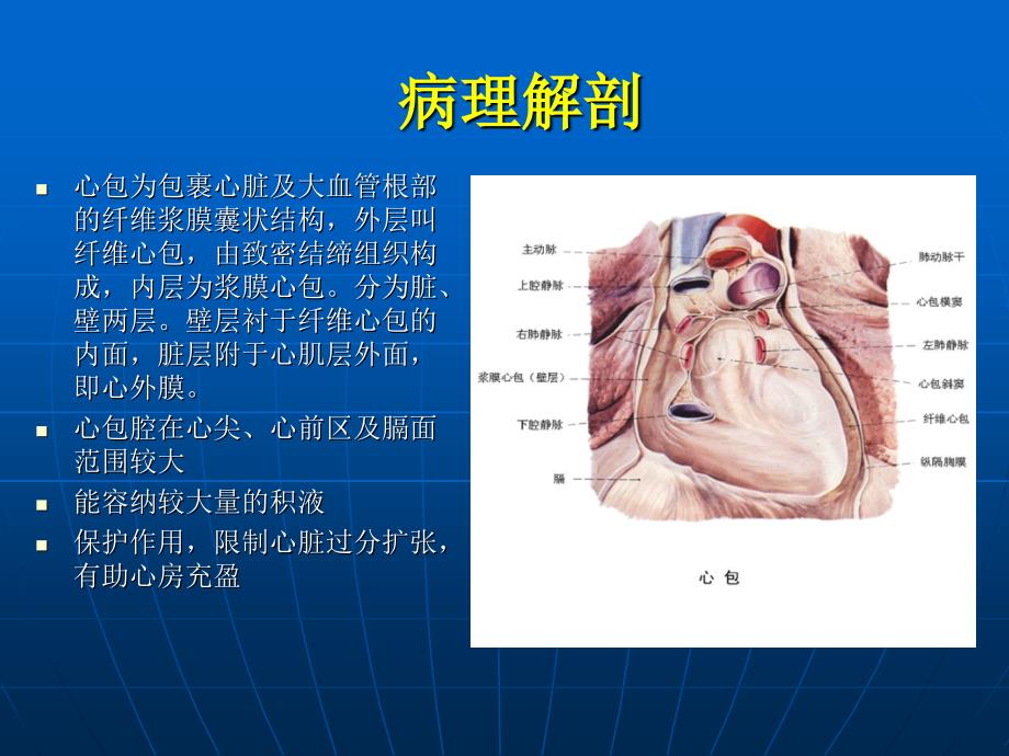 【精品】心包积液_第2页