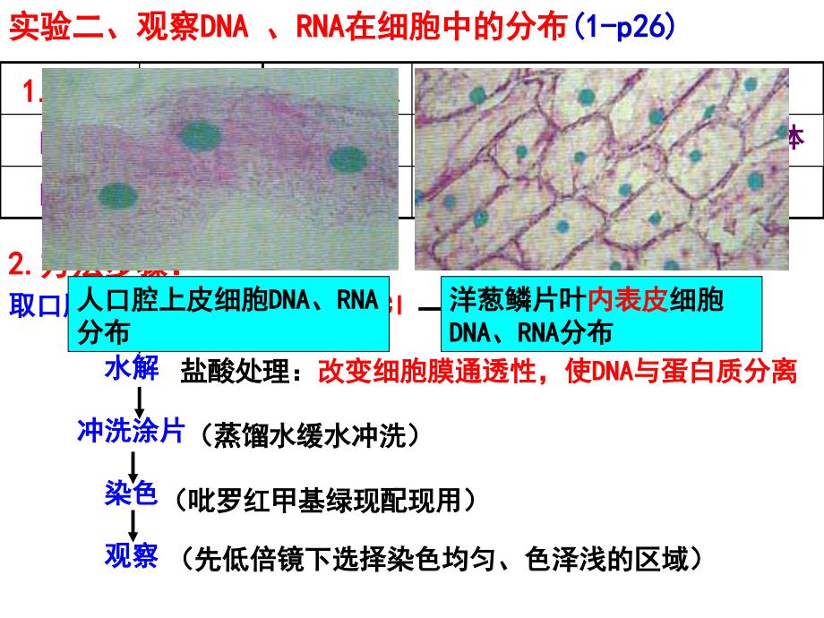 专题十四 实验与探究 2017年高中生物二轮复习_第4页