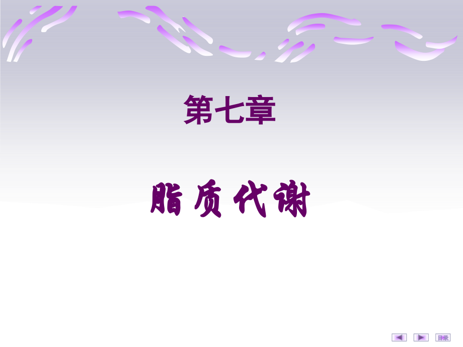 第七章 脂质代谢3_第1页