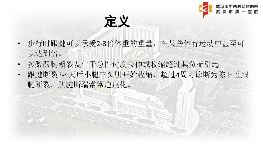 陈旧性跟腱断裂 赵文斌_第5页