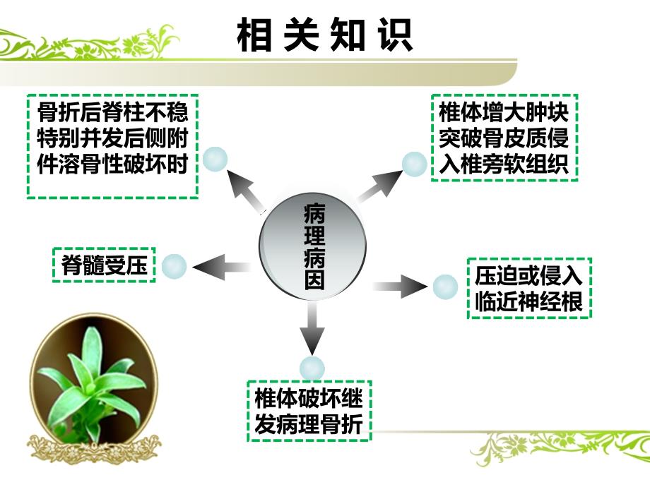 胸椎复发肿瘤切除手术的护理_第4页