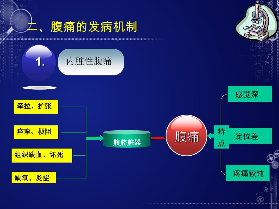 诊断学课件：腹痛_第4页