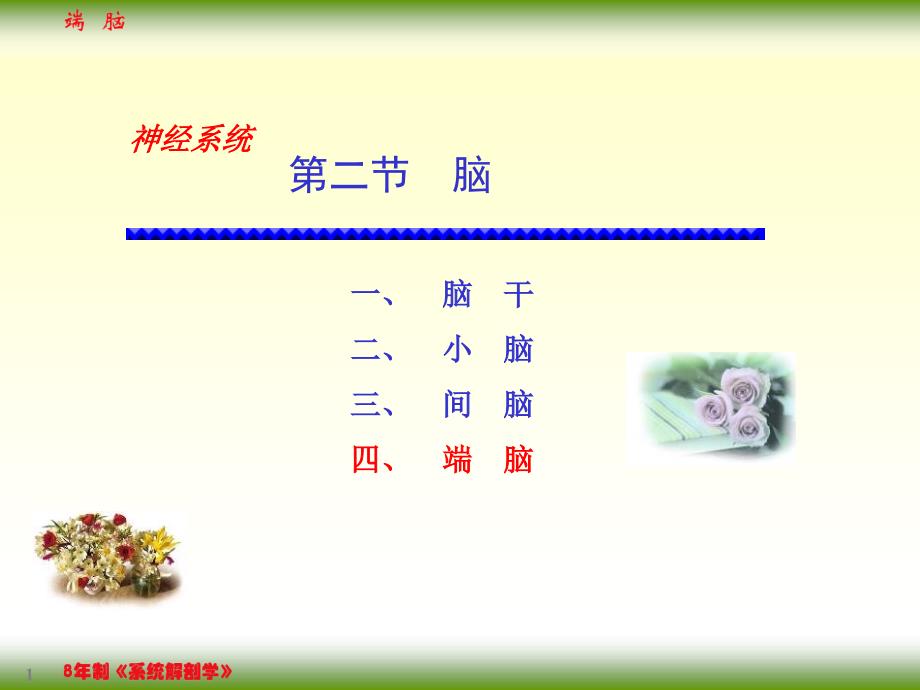17-4端脑_第1页