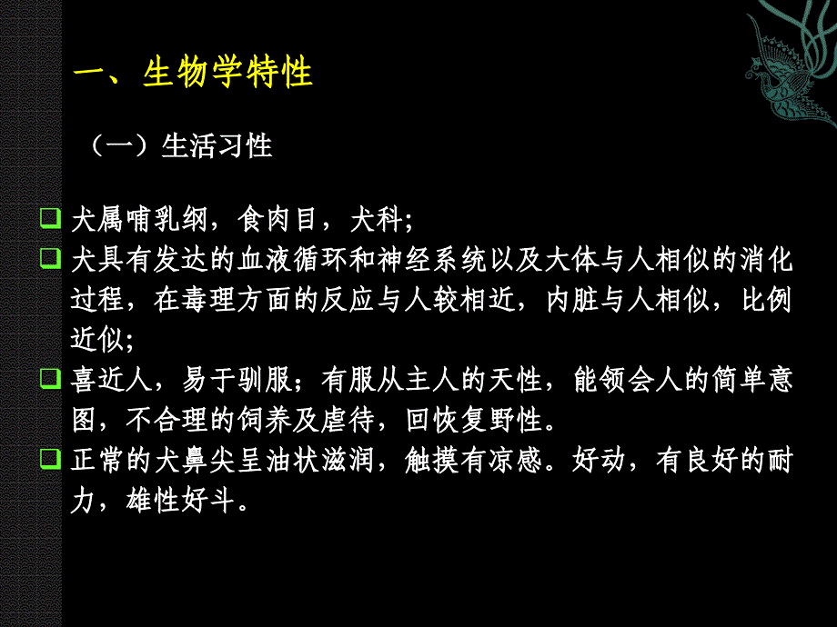 5.6犬猫猪猴鸡_第2页