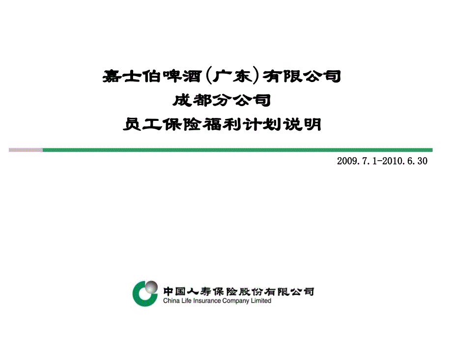 2009中国人寿商业保险介绍_第1页