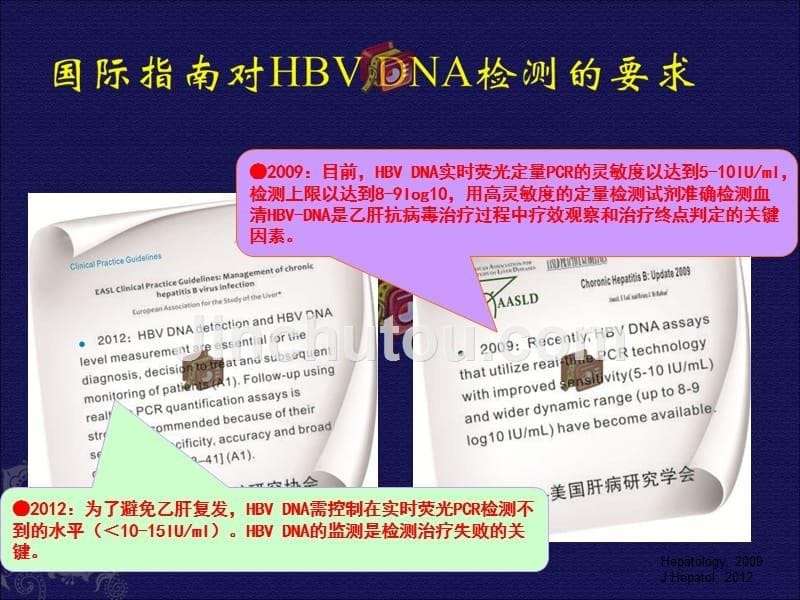 实验室HBV DNA定量检测的临床意义-北京大学_第5页