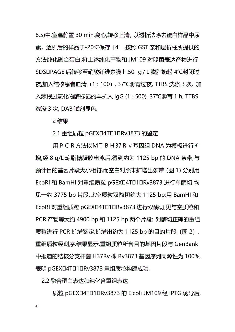 结核分枝杆菌RD1区PPE68-GST融合蛋白表达质粒的构建及表达_第4页