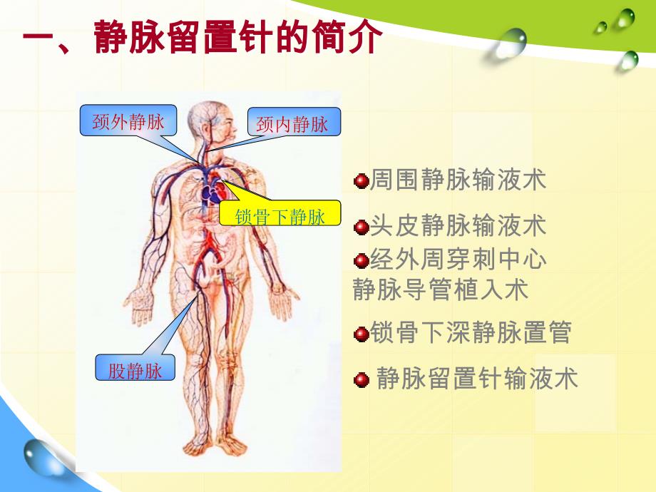 静脉留置针输液辅料导致的皮肤过敏_第3页