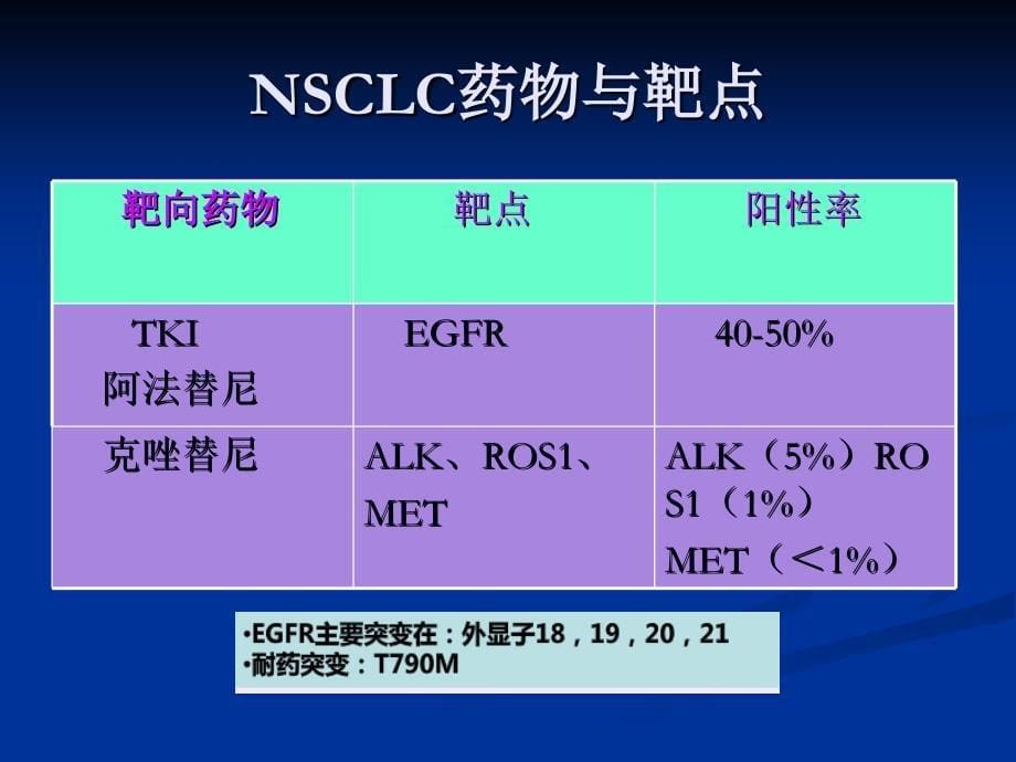 肿瘤靶向药物_第5页