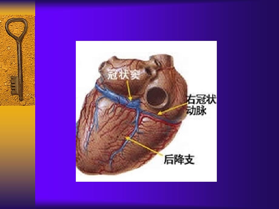 常见病的诊断与诊断鉴别_第4页