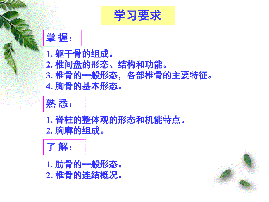 201509解剖学-运动系统-躯干骨及其连结(临床专业)_第2页